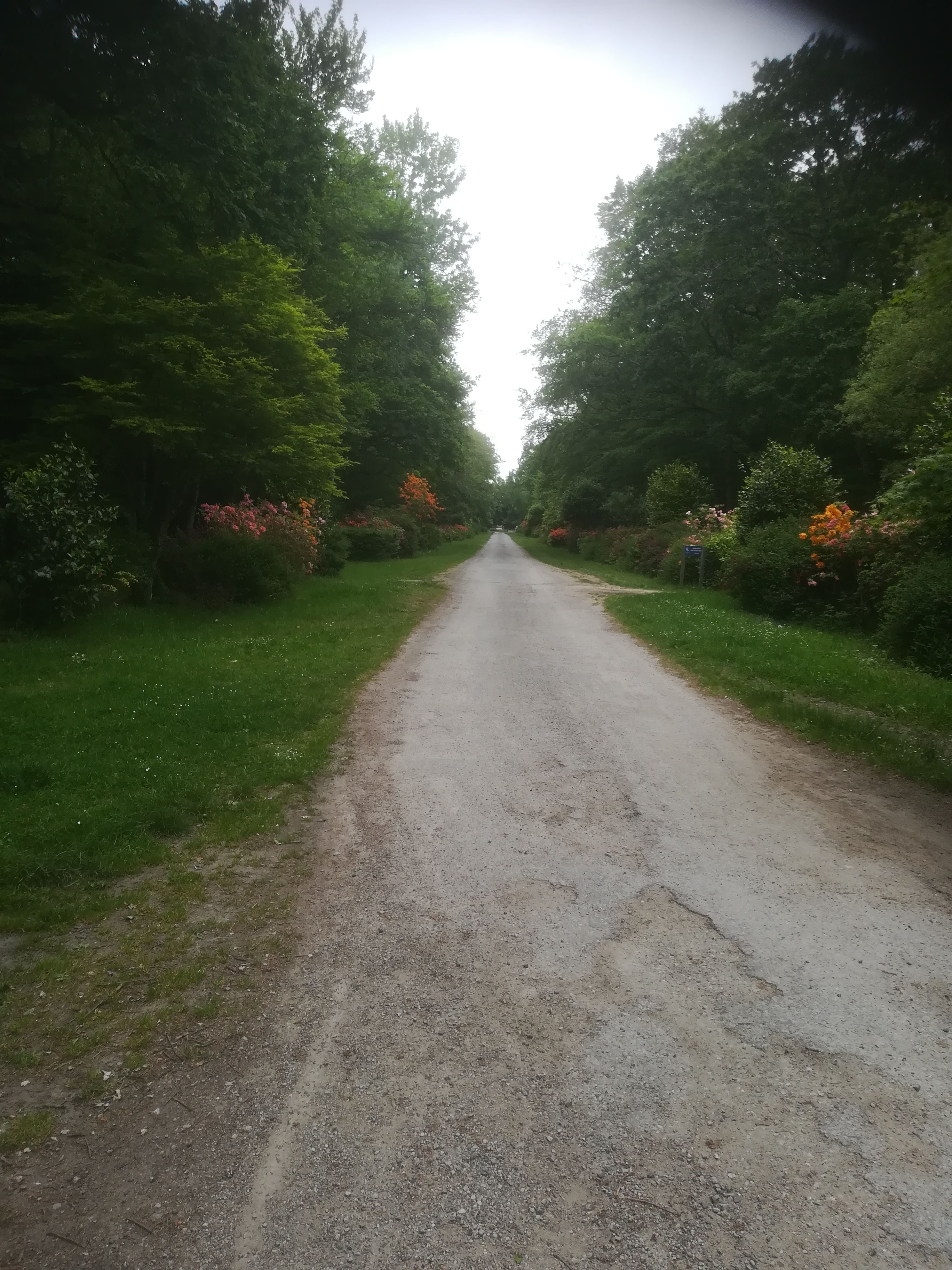 Photo n° 3 de l'avis de nathalie.a fait le 17/05/2019 à 12:46
