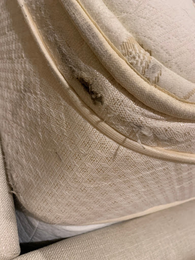 Moving Company «College Hunks Hauling Junk and Moving», reviews and photos, 316 E Union St, West Chester, PA 19382, USA