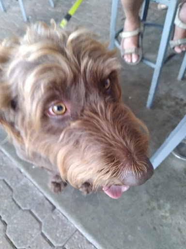 Golf Club «Pompano Beach Golf Shop», reviews and photos, 1101 N Federal Hwy, Pompano Beach, FL 33062, USA