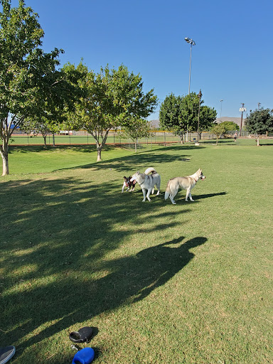 Dog Park