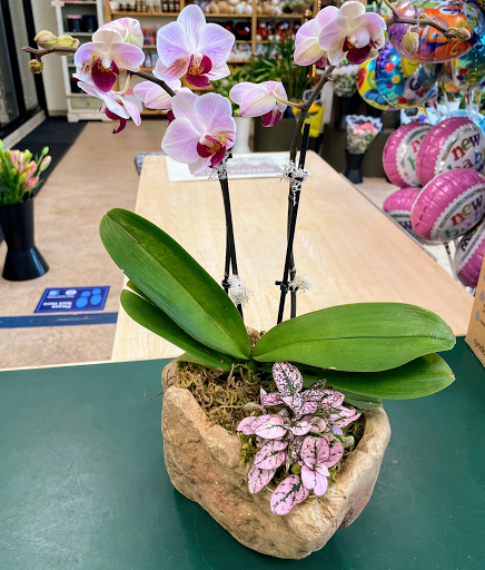 Florist «El Camino Florist», reviews and photos, 632 El Camino Real, South San Francisco, CA 94080, USA