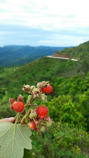 Top 18 trang trí cửa hàng Huyện Ba Tơ Quảng Ngãi 2022