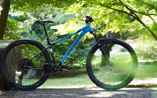 Bicycle Store «Tenafly Bicycle Workshop», reviews and photos, 175 County Rd, Tenafly, NJ 07670, USA