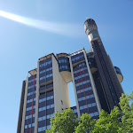 Photo n°4 de l'avis de Alessio. fait le 25/04/2022 à 21:33 sur le  Myosotis à Modena