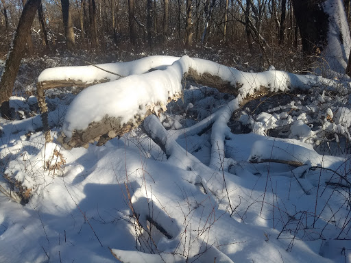 Nature Preserve «Camp Pine Woods», reviews and photos, Central Rd, Glenview, IL 60025, USA