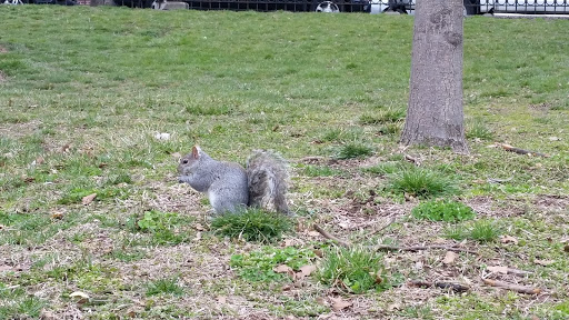 Park «Park Of The Americas», reviews and photos, 42nd Ave & 104th Street, Corona, NY 11368, USA