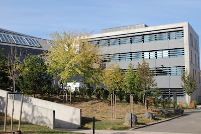 SILVERIS Entreprise à Lyon