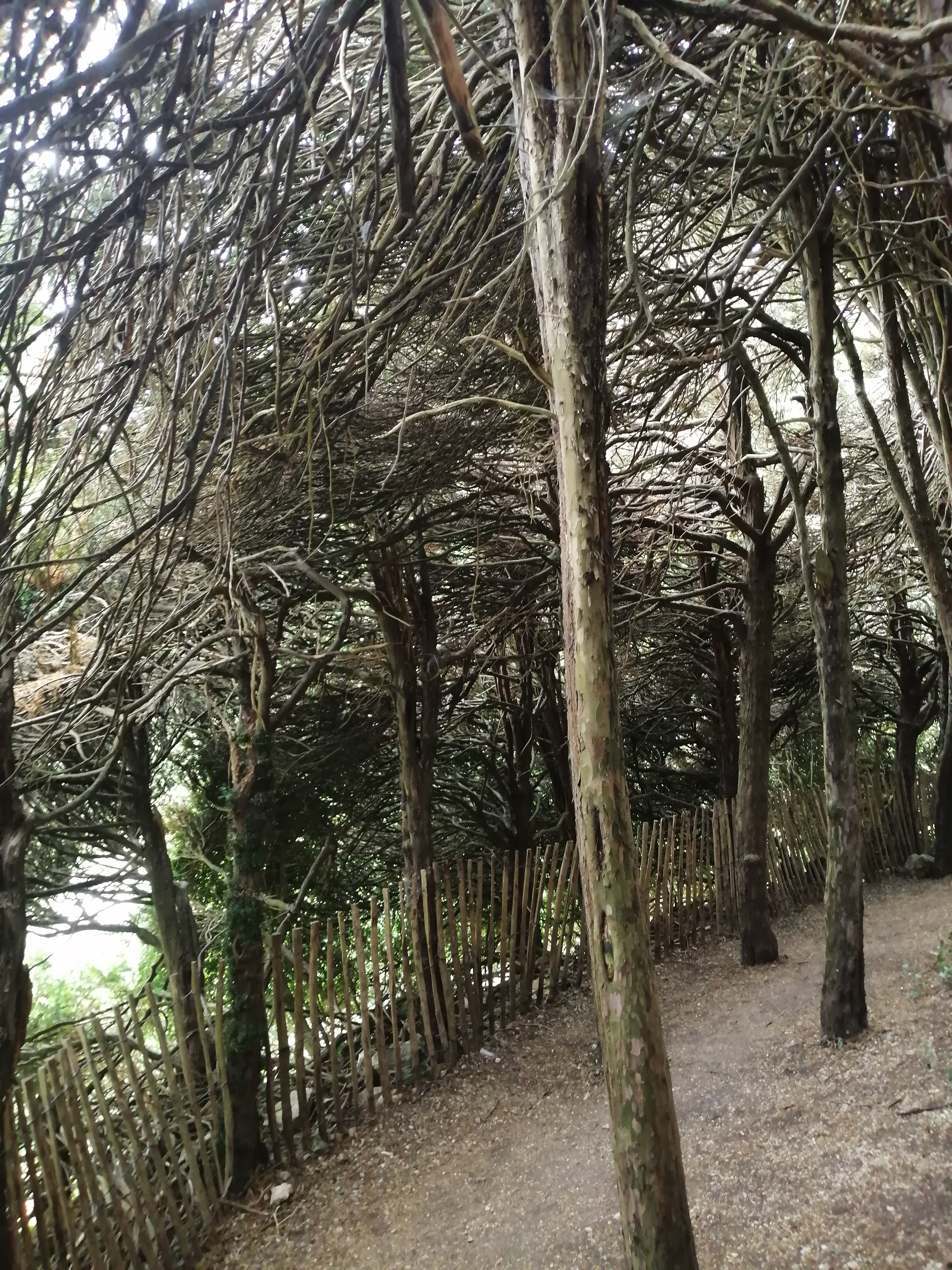 Photo n° 16 de l'avis de Virginie.e fait le 31/07/2022 à 13:13