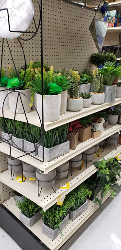 Discount Store «Big Lots», reviews and photos, 35603 S Gratiot Ave, Charter Twp of Clinton, MI 48035, USA