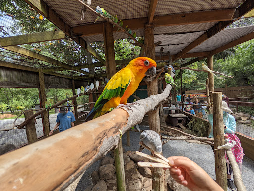 Zoo «Catoctin Wildlife Preserve and Zoo», reviews and photos, 13019 Catoctin Furnace Rd, Thurmont, MD 21788, USA