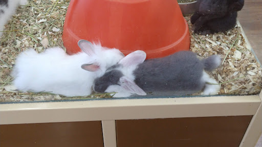 Pet Supply Store «Pet Supermarket, Inc.», reviews and photos, 3911 Lemmon Ave, Dallas, TX 75219, USA