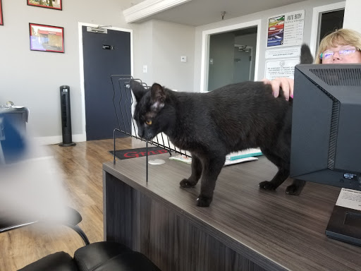 Auto Body Shop «Graphic Auto Body», reviews and photos, 1350 N Texas St, Fairfield, CA 94533, USA