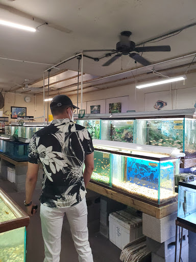 Tropical Fish Store «Fintique», reviews and photos, 701 West Ave, San Antonio, TX 78201, USA