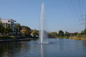 Albau lake image