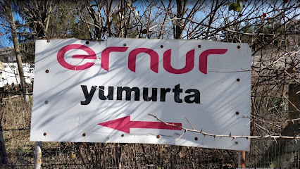 Ernur Yumurta
