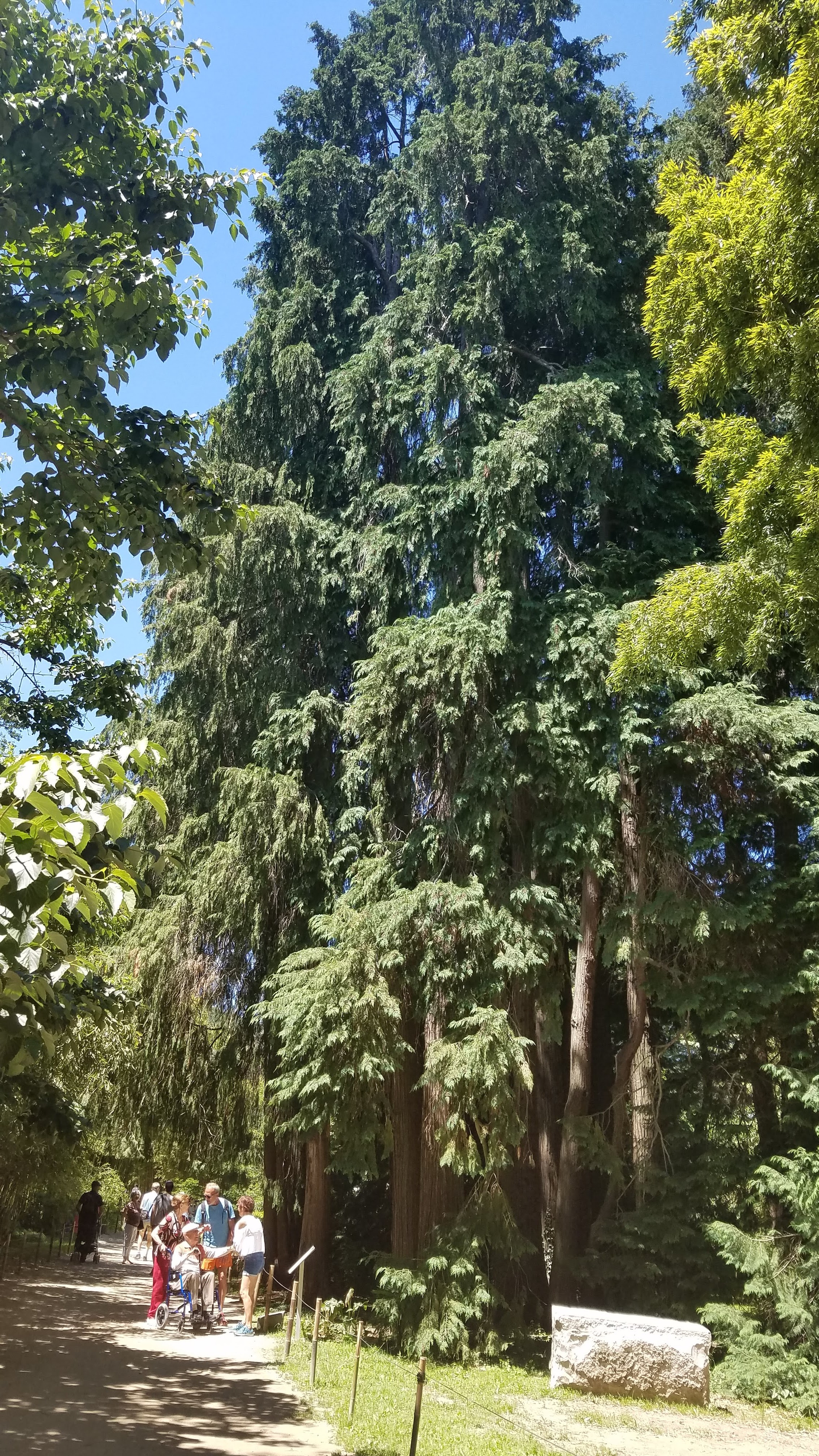 Photo n° 2 de l'avis de peduzzi.l fait le 26/06/2019 à 06:51