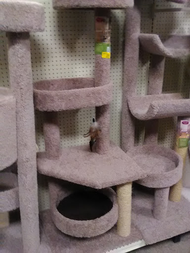 Pet Supply Store «PetSmart», reviews and photos, 9122 Mentor Ave, Mentor, OH 44060, USA