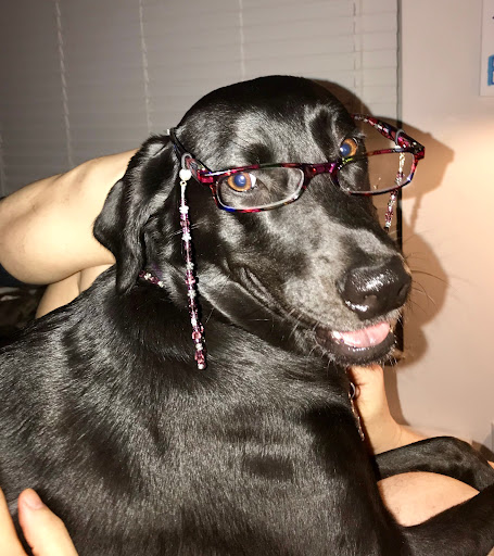 Cherry Grove Animal Hospital image