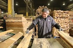 Rapid Pallets