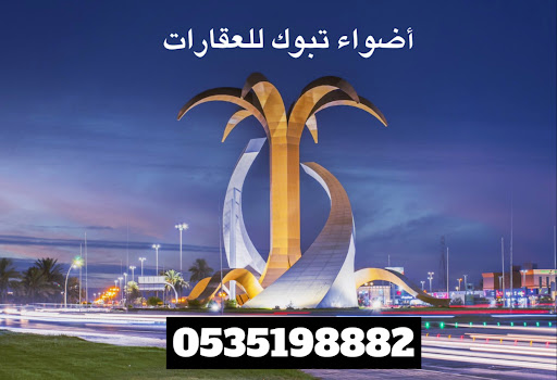 مكتب أضواء تبوك للعقارات 