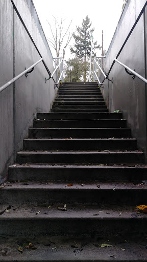 Pet Supply Store «Pet Pros», reviews and photos, 10304 Lake City Way NE, Seattle, WA 98125, USA