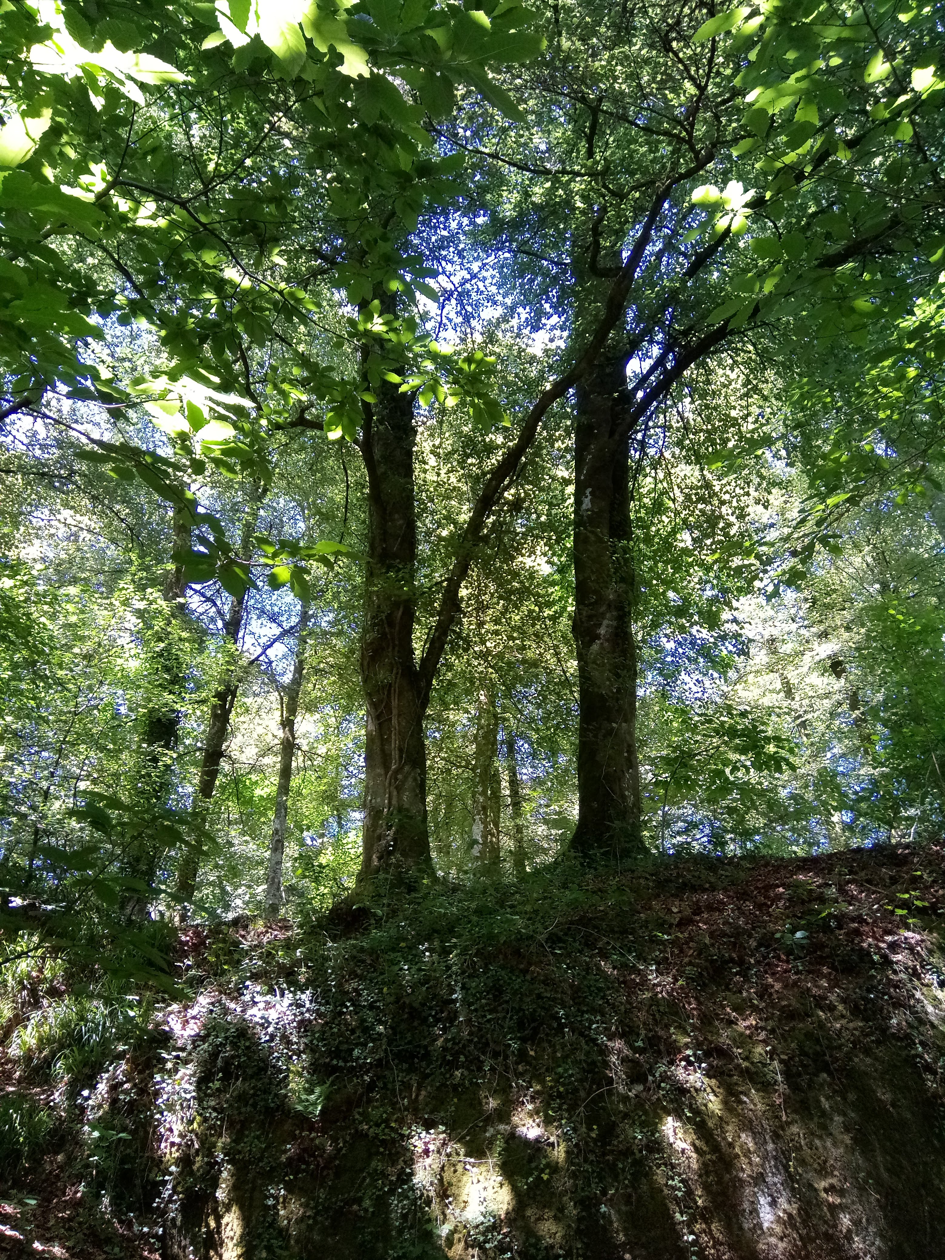 Photo n° 13 de l'avis de Christophe.n fait le 09/07/2018 à 16:57