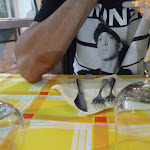 Photo n°4 de l'avis de massimo.m fait le 11/08/2022 à 21:15 sur le  Ristorante la Brace Srl à Agropoli