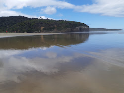 Zdjęcie Waipati Beach z proste i długie