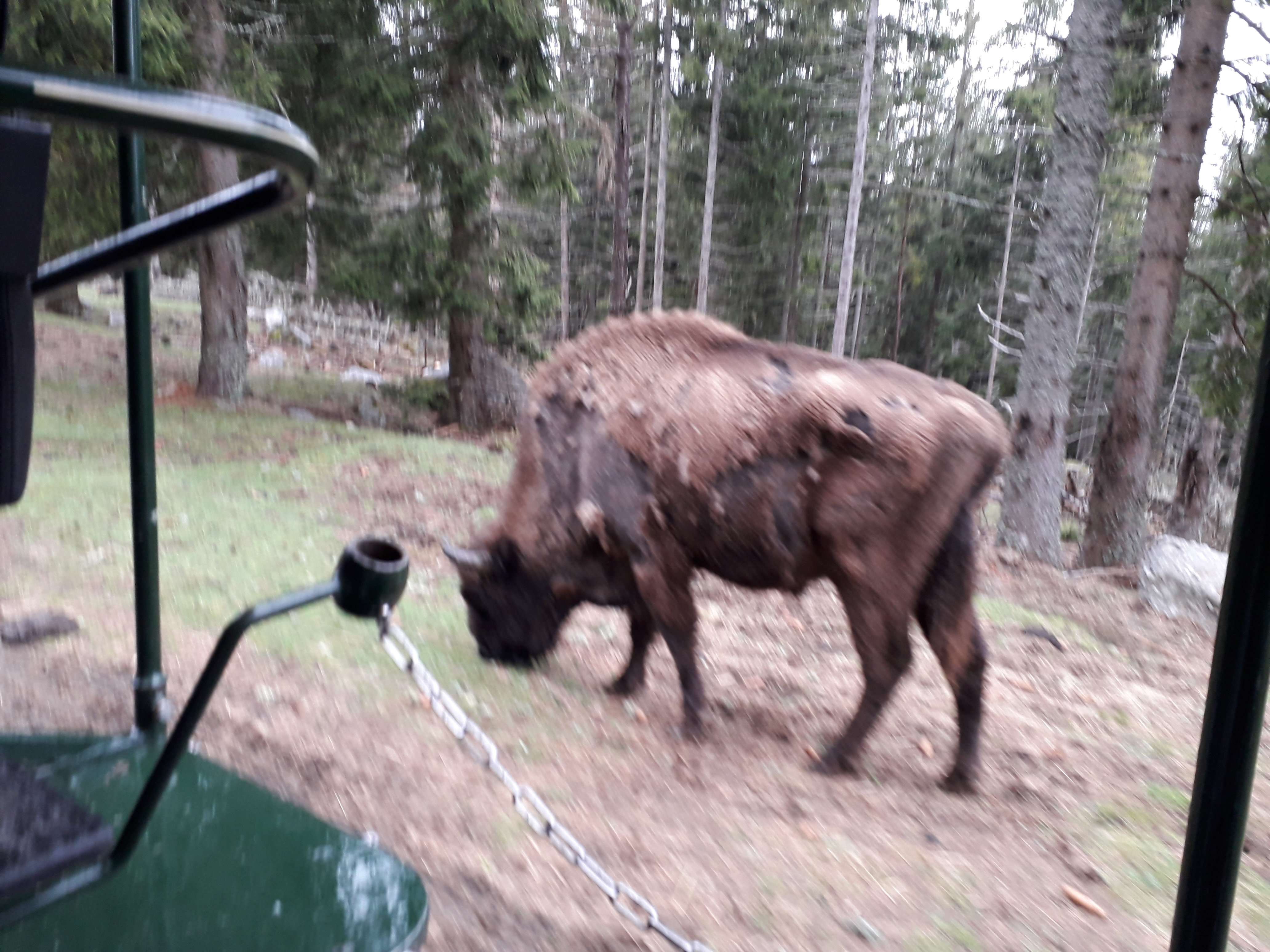 Photo n° 1 de l'avis de Florence.R fait le 14/05/2019 à 06:31