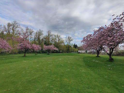 Golf Course «Jefferson Park Golf Course», reviews and photos, 4101 Beacon Ave S, Seattle, WA 98108, USA
