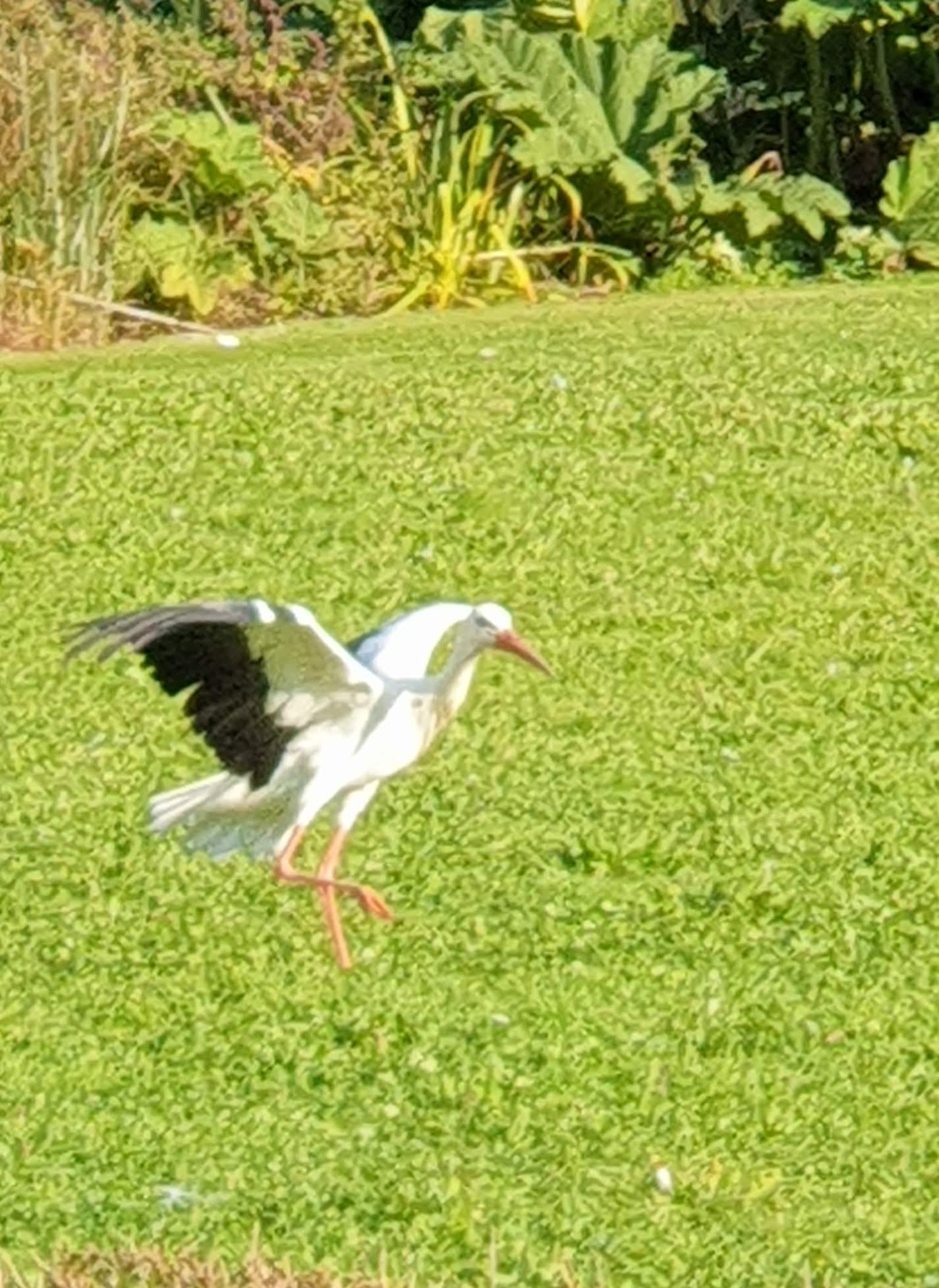 Photo n° 3 de l'avis de Emmanuèle.n fait le 26/10/2021 à 14:18