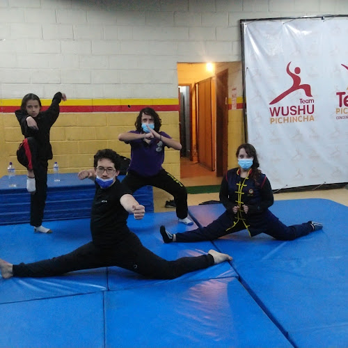 Opiniones de Asociación de Wushu - Kung fu - Tai Chi Pichincha en Quito - Gimnasio
