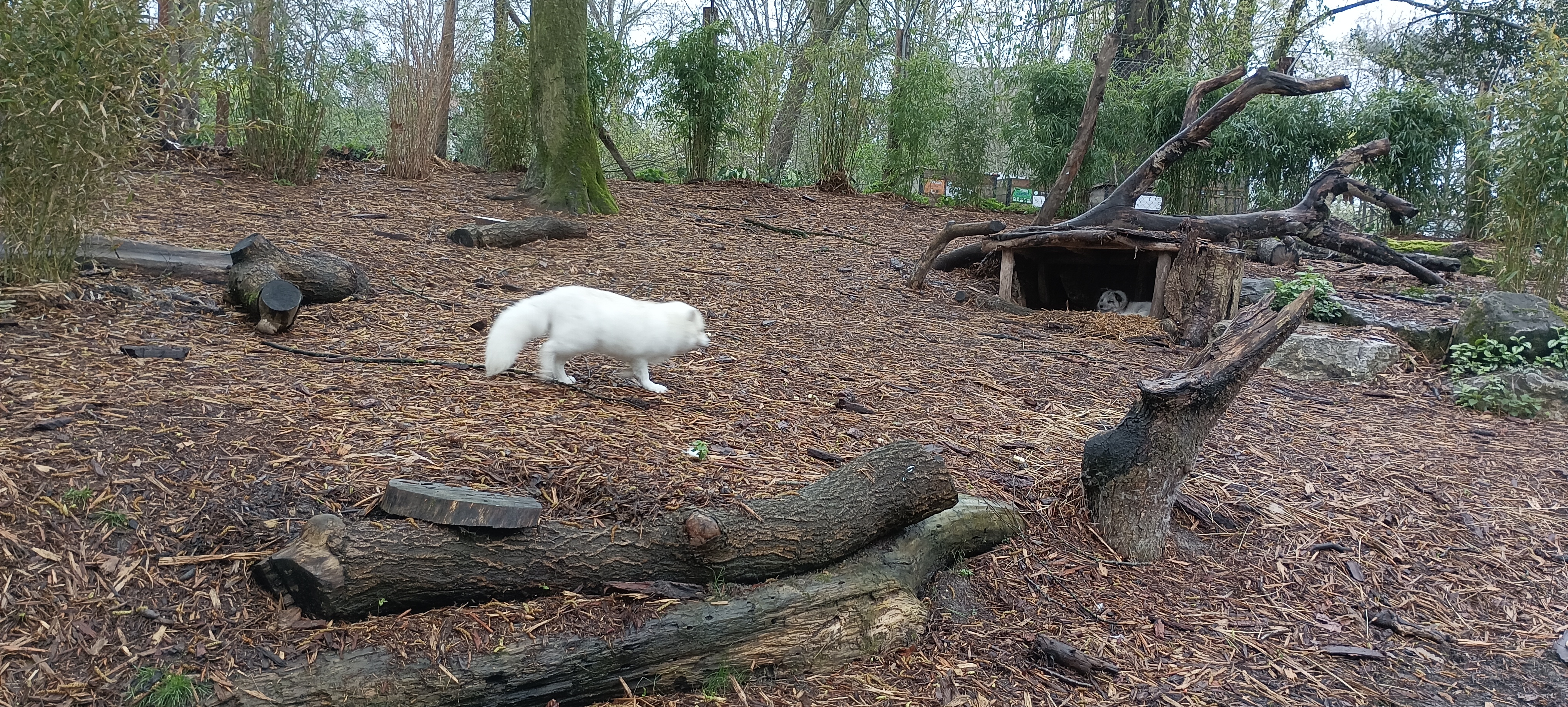 Photo n° 4 de l'avis de Antoine.i fait le 03/04/2023 à 08:17