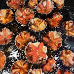 Photo n°3 de l'avis de Marilena.i fait le 28/08/2021 à 21:49 sur le  Osteria Carbinia à Cavallino