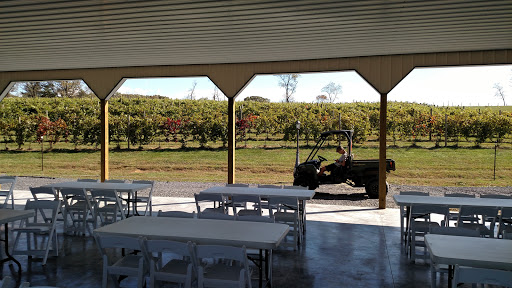 Winery «The Winery at Kindred Pointe», reviews and photos, 3575 Conicville Rd, Mt Jackson, VA 22842, USA