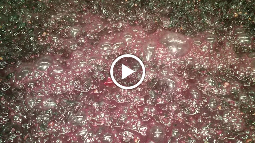 Wine Club «North Coast Wine Club», reviews and photos, 30700 Bainbridge Rd, Solon, OH 44139, USA