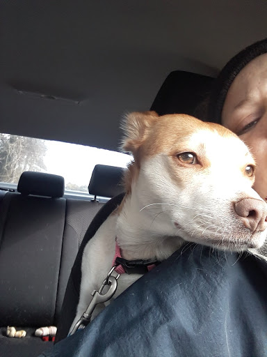 Pet Supply Store «PetSmart», reviews and photos, 7663 Arundel Mills Blvd, Hanover, MD 21076, USA