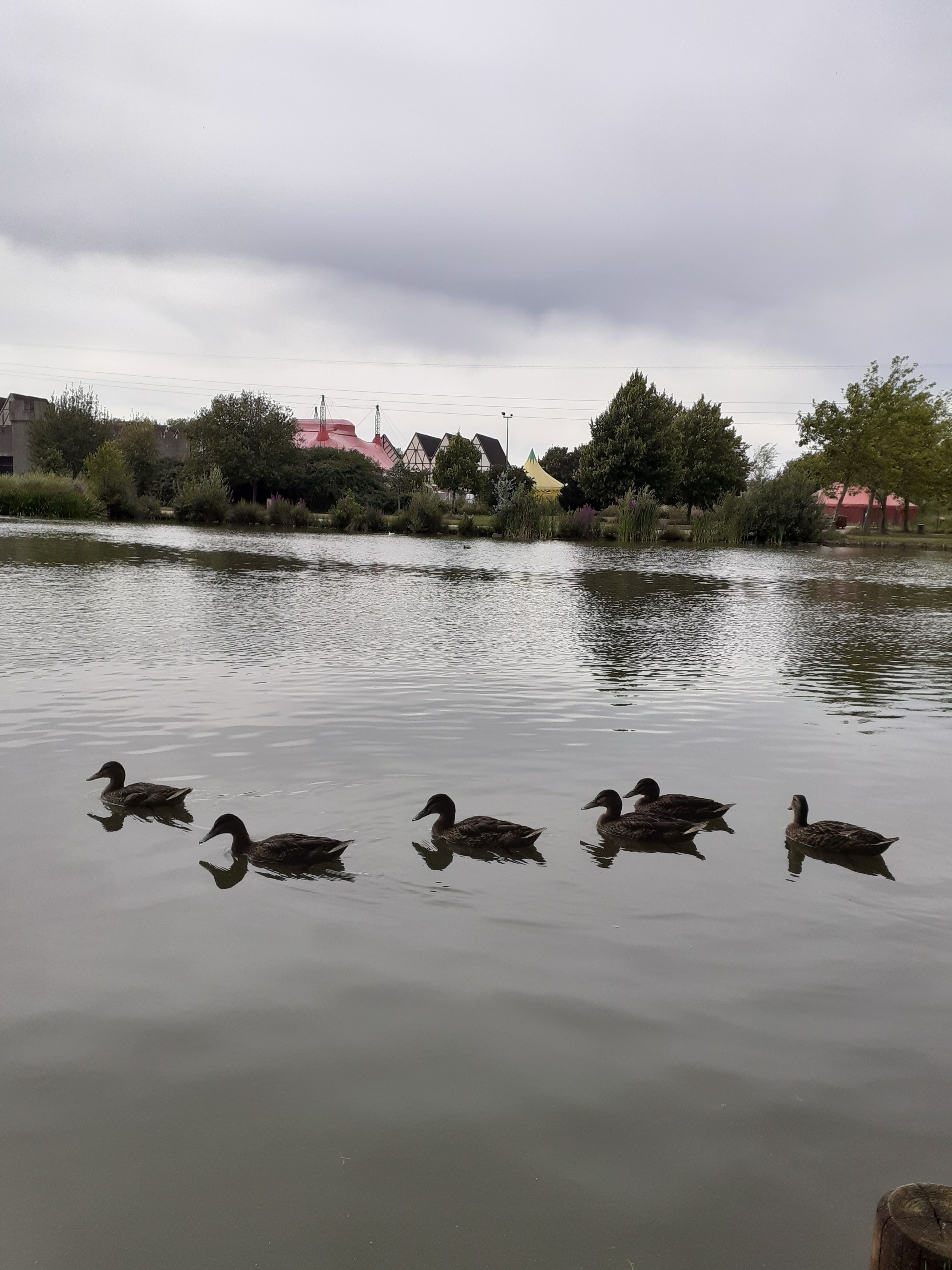 Photo n° 1 de l'avis de leonore.e fait le 06/09/2020 à 08:19