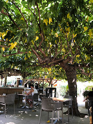 Photo n°33 de Hotel Restaurant Les Chasseurs à Pietracorbara ()