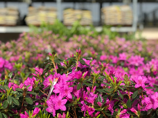 Home Improvement Store «The Home Depot», reviews and photos, 1624 E 165th St, Hammond, IN 46320, USA