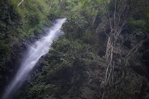Dlundung Waterfall image