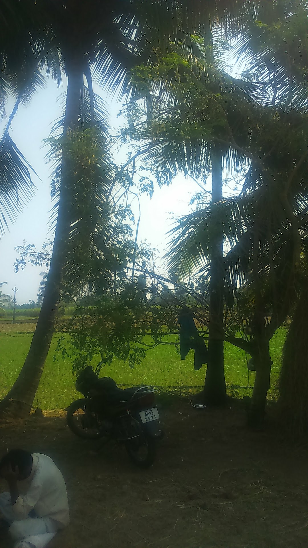 DEVI LODGE
