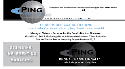 Ping Consulting & Advisory, LLC
