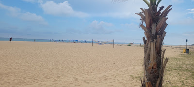 Parcours & Voyages à Cannes