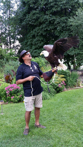 Hawkeye Bird and Animal Control