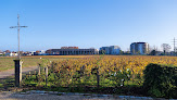 Château Haut-Brion Pessac