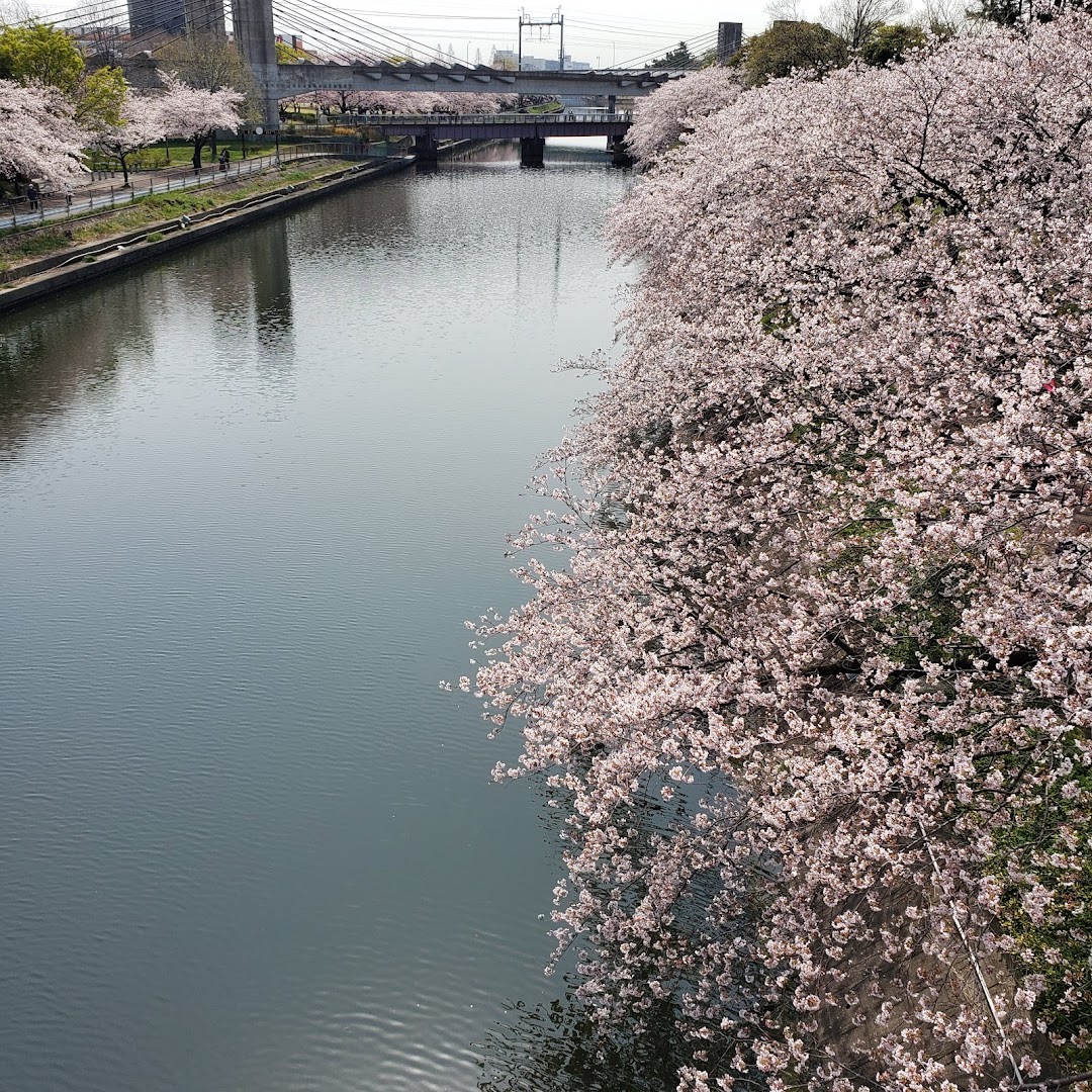 荒子川公園