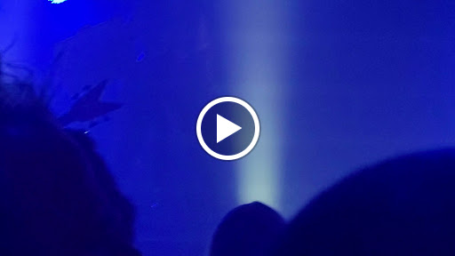 Live Music Venue «Brass Mug», reviews and photos, 1450 Skipper Rd, Tampa, FL 33613, USA