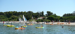Plage du Bateguier Florence Arthaud'in fotoğrafı çok temiz temizlik seviyesi ile