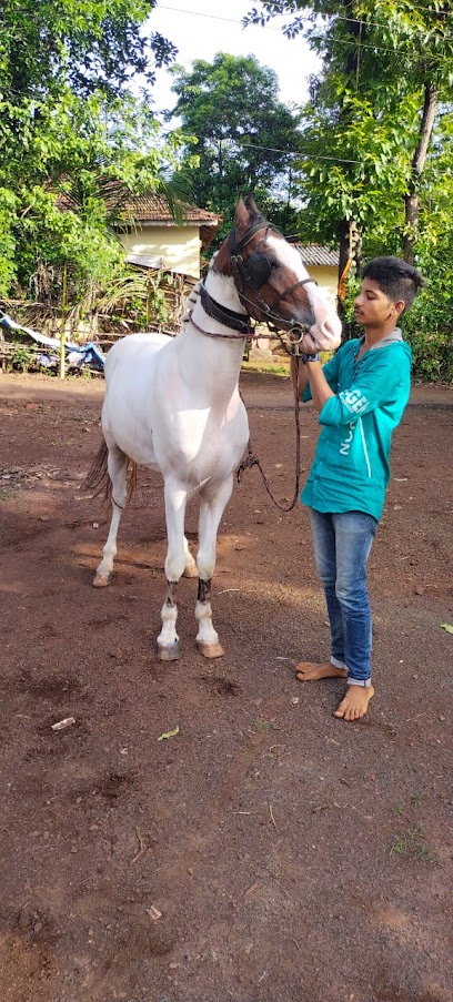 Rushi horse and pets service